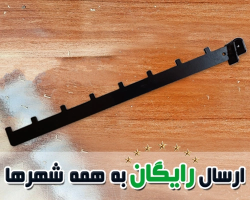 رگال پین دار